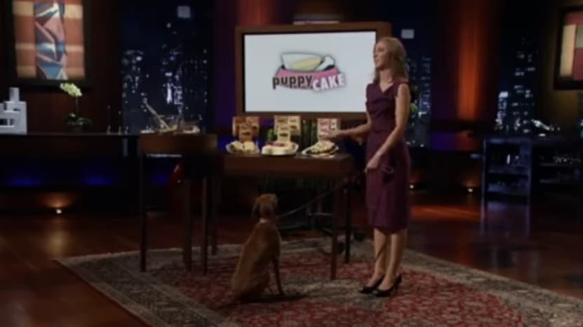 Puppy Cake Shark Tank